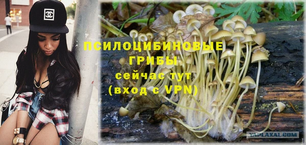 метадон Аркадак