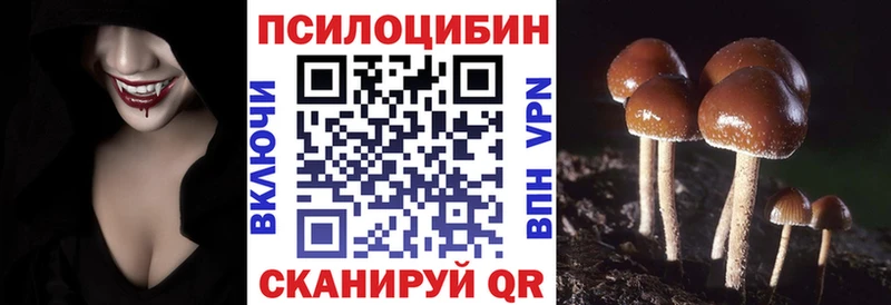 Псилоцибиновые грибы мицелий  наркота  Сельцо 