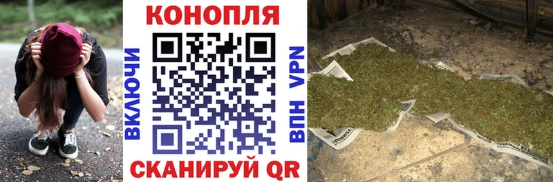 Шишки марихуана SATIVA & INDICA Сельцо